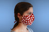 Face Mask - Maroon Daisy